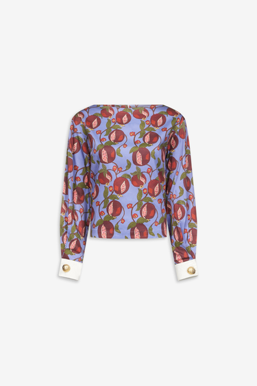 Long sleeved top — Blue and Red